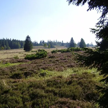 Haus Kesper-brünen 3* Willingen (Upland)