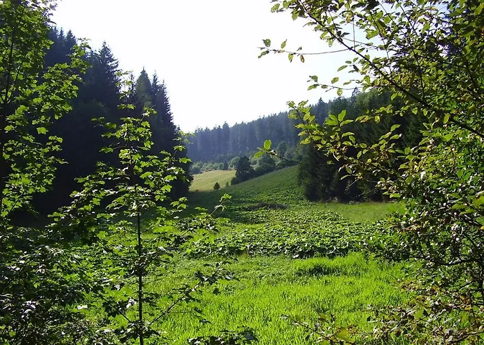 Gasthuis Haus Kesper-brunen 3*