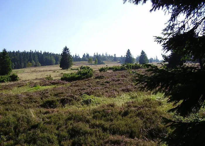 Haus Kesper-brunen 3* Willingen (Upland)